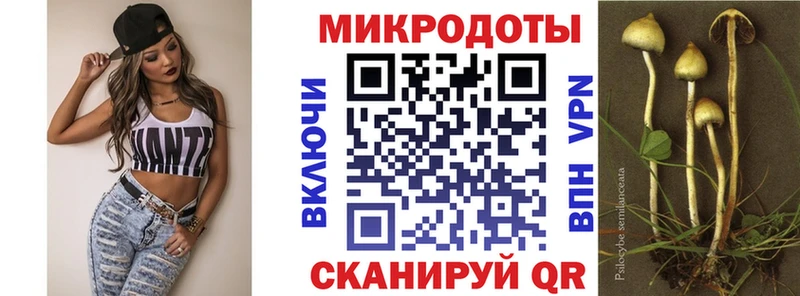Псилоцибиновые грибы Magic Shrooms  Купить  Тутаев 